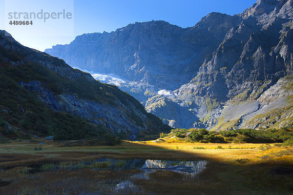 Naturschutzgebiet Berg See Sumpf Kanton Uri Moor Bergsee Schweiz