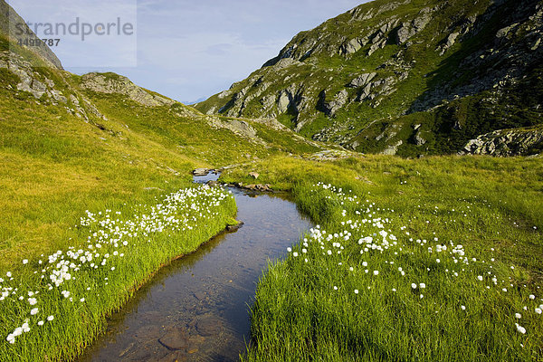 Nationalpark Planung Landschaft Bach Surselva Sumpf Hochebene Kanton Graubünden Wollgras Schweiz