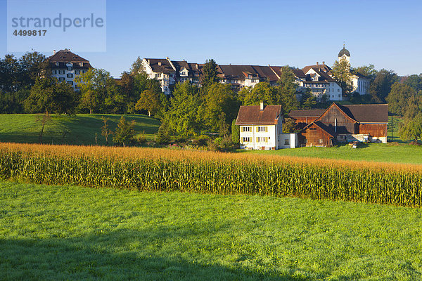 Kornfeld Wohnhaus Gebäude Landwirtschaft Kirche Wiese Altstadt Morgendämmerung Schweiz Kanton Zürich Morgenlicht