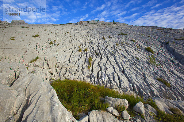 Felsbrocken Wolke Steilküste Morgendämmerung Kanton Luzern Erosion Kalkstein Schrattenkalk Schweiz Morgenlicht