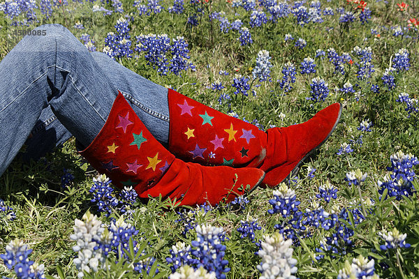 Ennis  Texas  USA  USA  Amerika  Frau  Frau  rot  Stiefel  farbigen Sternen bewertet  blaue Jeans  blue Bonnets  Feld  indische Pinsel  Pinsel