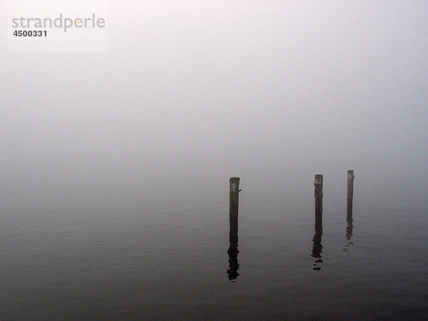 Poller  Hafen  Nebel  Kiel  Germany  Wasser  Stimmung  traurig