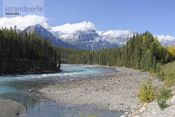 Rocky Mountains  Athabasca River  Fluss Kurs  entlang Icefield Parkway  Jasper-Nationalpark  Alberta  Kanada