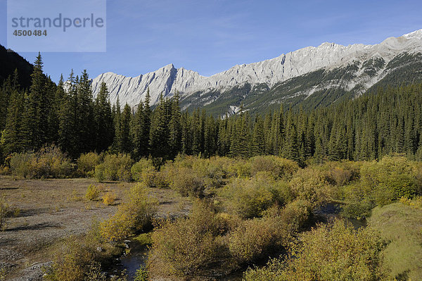 Rocky Mountains  Maligne Tal. Sirdar Berg  fallen  fallen Farben  Jasper-Nationalpark in Alberta  Kanada