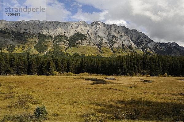 Marschland  Teiche  Wald  Berge  Opal Range  Mount Jerram  fallen  Herbst Farben  Peter Lougheed Provinz Park  Alberta  Kanada
