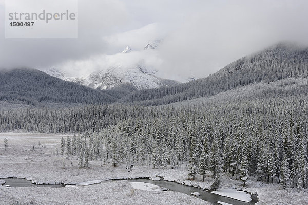 Rocky Mountains  Winterlandschaft. Kiefernwald  Schnee  Fluss  Wolken  Peter Lougheed  Provinz Park  Alberta  Kanada