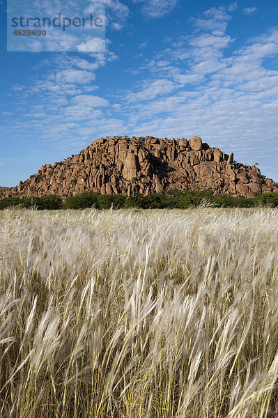 Landschaft mit Berg bei Twyfelfontein  Damaraland  Namibia