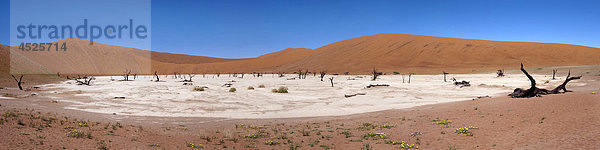 Dead Vlei im Naukluft Nationalpark  Namib  Namibia  Panorama
