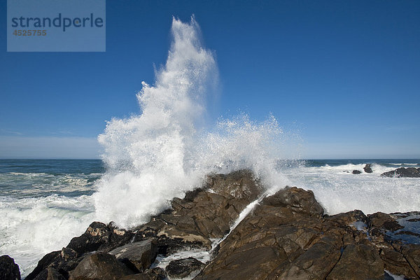 Wellen brechen an der Felsenküste im West Coast Nationalpark  Südafrika