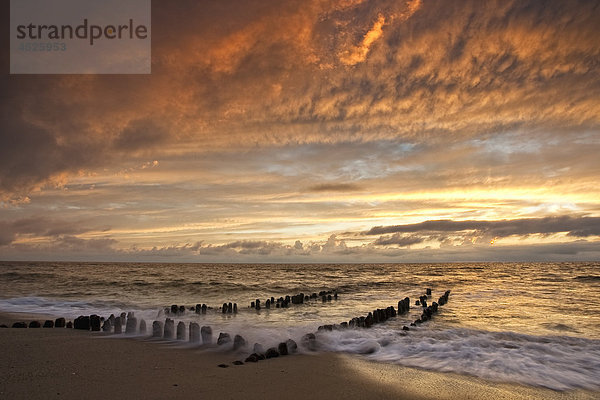 Sonnenuntergang  Sylt  Schleswig-Holstein  Deutschland  Europa