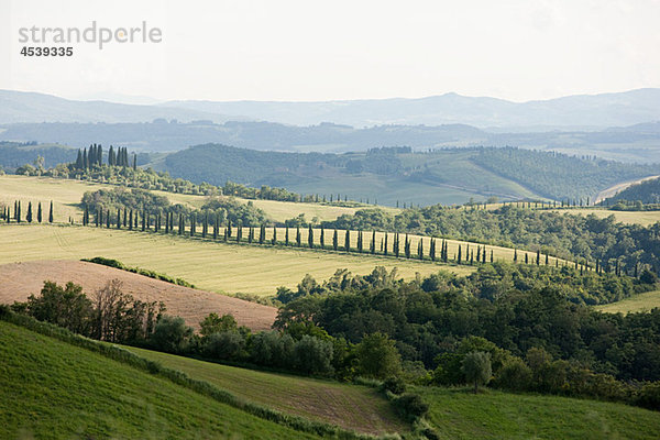 Landschaft bei Siena  Toskana  Italien