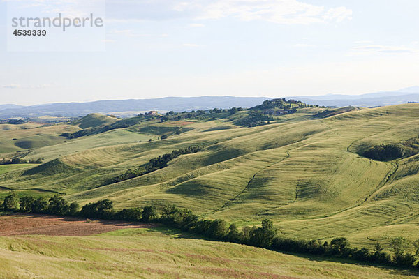 Landschaft in der Nähe von Siena  Toskana  Italien