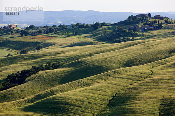 Rollende Landschaft bei Siena  Toskana  Italien