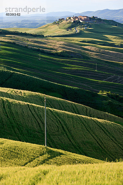 Rollende Landschaft bei Siena  Toskana  Italien