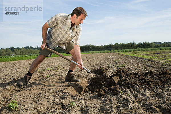 Mittlerer Erwachsener Mann beim Graben im Feld