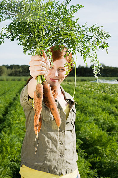 Junge Frau erntet Karotten auf dem Feld