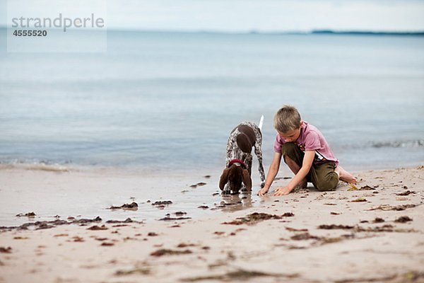Junge spielt mit Hund am Strand