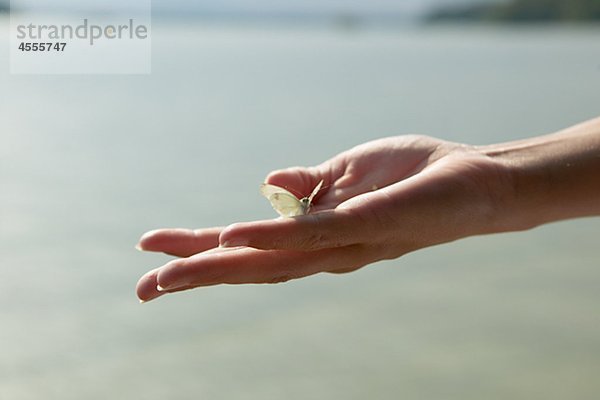 Womans Hand hält Schmetterling