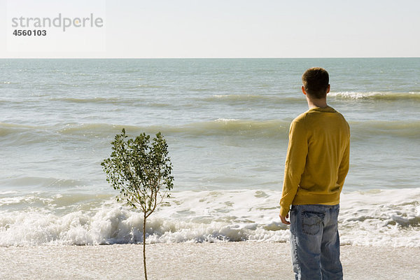 Mann steht neben einem kleinen Baum  der am Strand wächst und schaut auf die Aussicht.