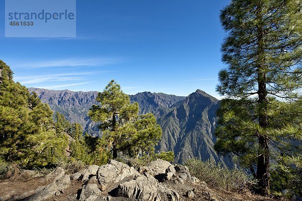 Caldera de Taburiente  La Palma  Kanarische Inseln  Spanien