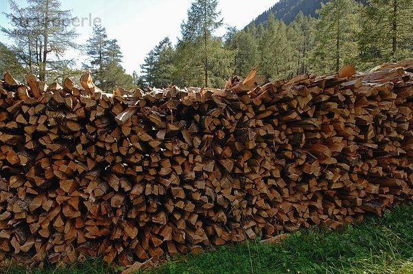 Österreich  Lungau  Liegnitztal  Brennholzstapel im Wald