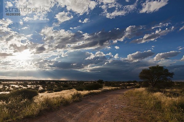 Afrika  Botswana  Mabuasehube  Offroadstrecke in der Kalahari