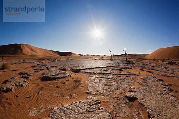 Afrika  Namibia  Namib Naukluft Nationalpark  Blick auf tote Vlei in der Namibwüste
