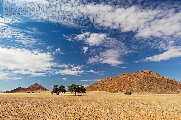 Afrika  Namibia  Namib Wüste  Blick auf Namib Rand