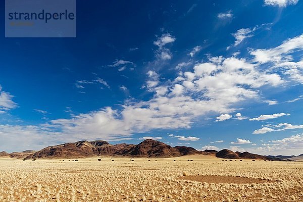 Afrika  Namibia  Namib Wüste  Blick auf Namib Rand
