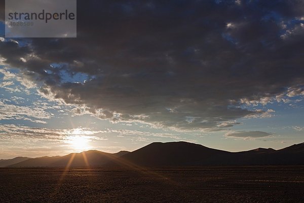 Afrika  Namibia  Namib Wüste  Blick auf Tsauchab Flussbett und Sanddünen im namib-naukluft Nationalpark