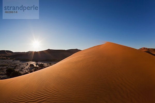 Afrika  Namibia  Namib Naukluft Nationalpark  Wind bläst über Sanddünen am Naravlei in der Namibwüste