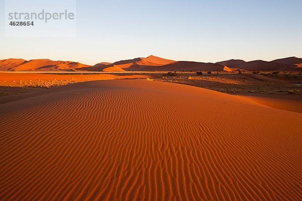 Afrika  Namibia  Namib Naukluft Nationalpark  Blick auf Sanddünen am Naravlei in der Namibwüste