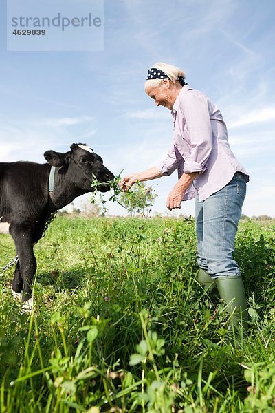 Seniorin  die Gras an das Kalb füttert.