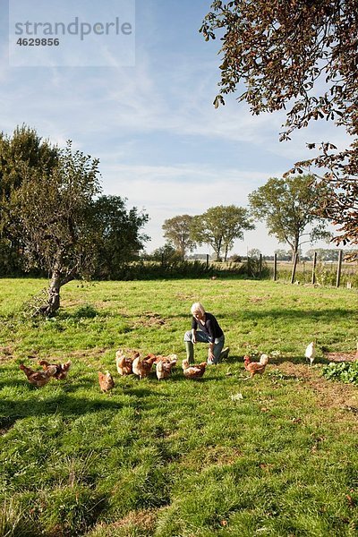 Seniorenfrau mit Hühnern auf dem Bauernhof
