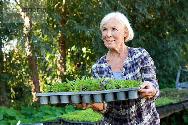 Seniorin mit Topfpflanze auf dem Bauernhof