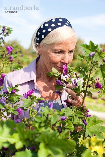 Seniorin  die an der Blume riecht.