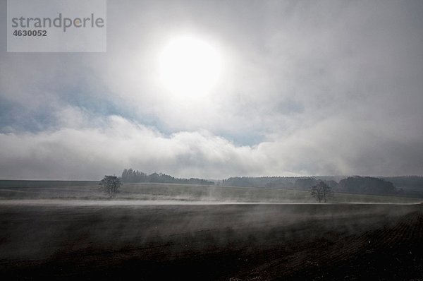 Deutschland  Bayern  Ansicht der Landschaft mit Nebel