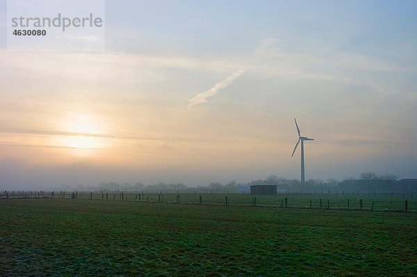 Deutschland  Schleswig-Holstein  Foehr  Blick auf Windkraftanlage bei Sonnenuntergang