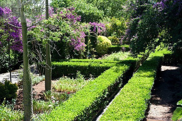 Spanien  Mallorca  Blick auf Jardines de Alfabia Garten