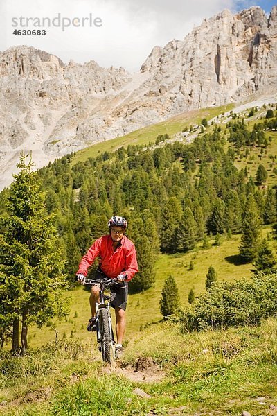 Italien  Dolomiten  Reife Männer beim Radfahren im Latemar-Gebirge