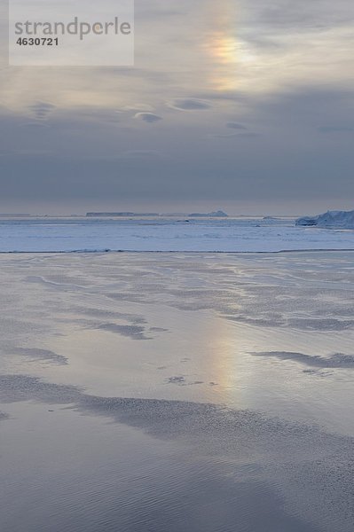 Antarktis  Antarktische Halbinsel  Blick auf Eisscholle im Weddellmeer