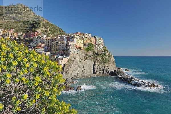 Italien  Cinque Terre  Provinz La Spezia  Manarola  Ligurien  Blick auf das traditionelle Fischerdorf