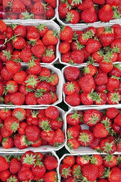 Deutschland  München  Erdbeeren in Kisten am Markt