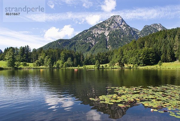 Österreich  Salzkammergut Ausseerland  Blick auf den sommersbergsee bei hoher sarstein