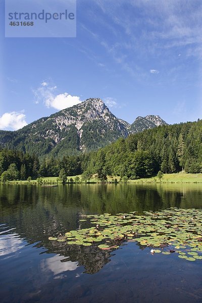 Österreich  Salzkammergut Ausseerland  Blick auf den sommersbergsee bei hoher sarstein