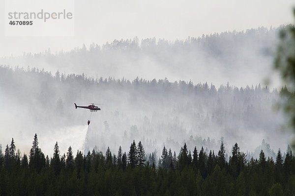Hubschrauber löscht Waldbrand