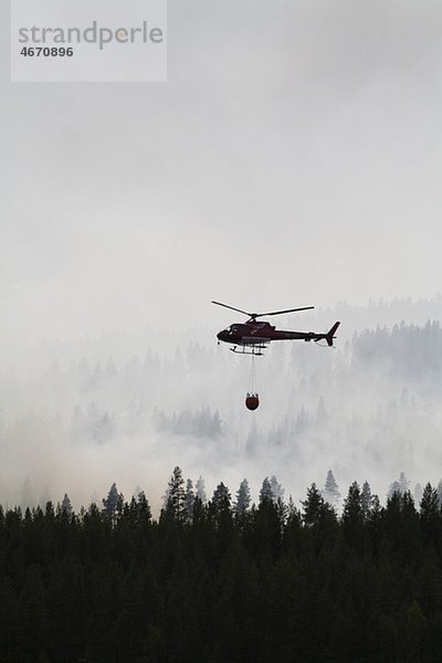 Hubschrauber löscht Waldbrand