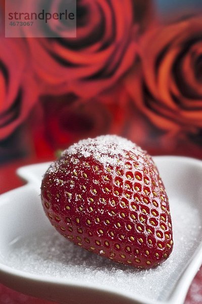 Gezuckerte Erdbeere mit Rosen im Hintergrund