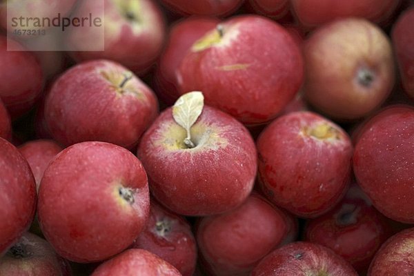 Viele rote Äpfel (bildfüllend)