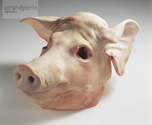 Schweinekopf